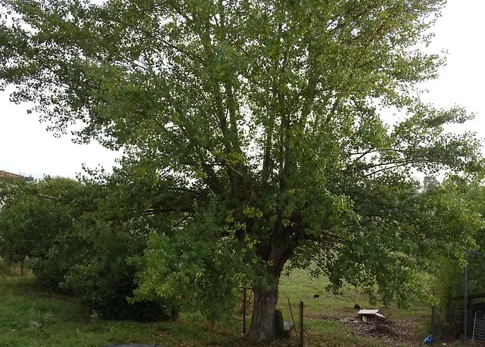 Dolci Sogni Konukevi