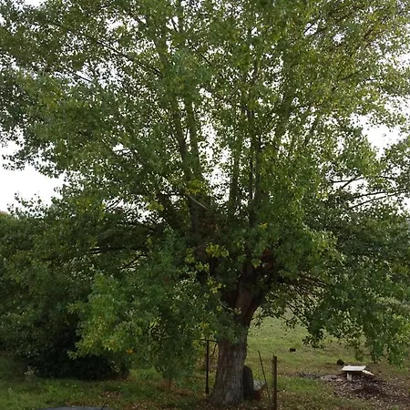 Dolci Sogni Pensionat